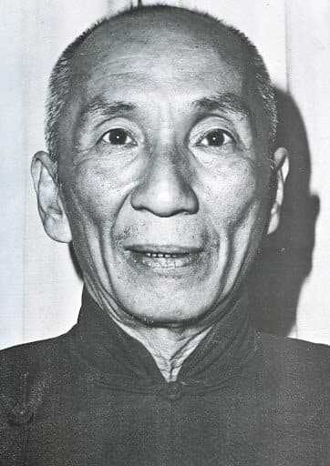 Portrait of Grand Master Yip Man